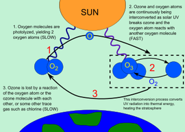 ozone layer solutions