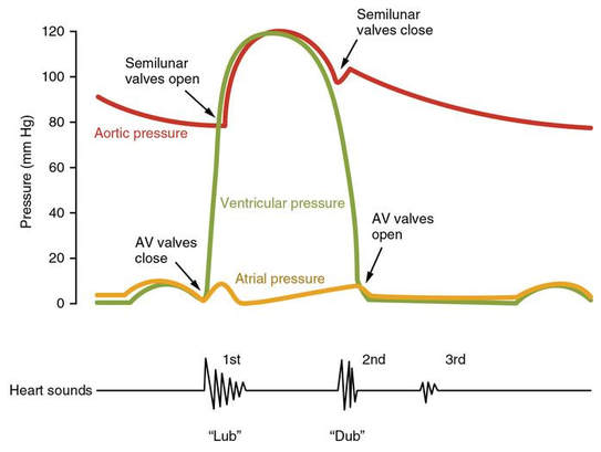 Heart Pressure Chart